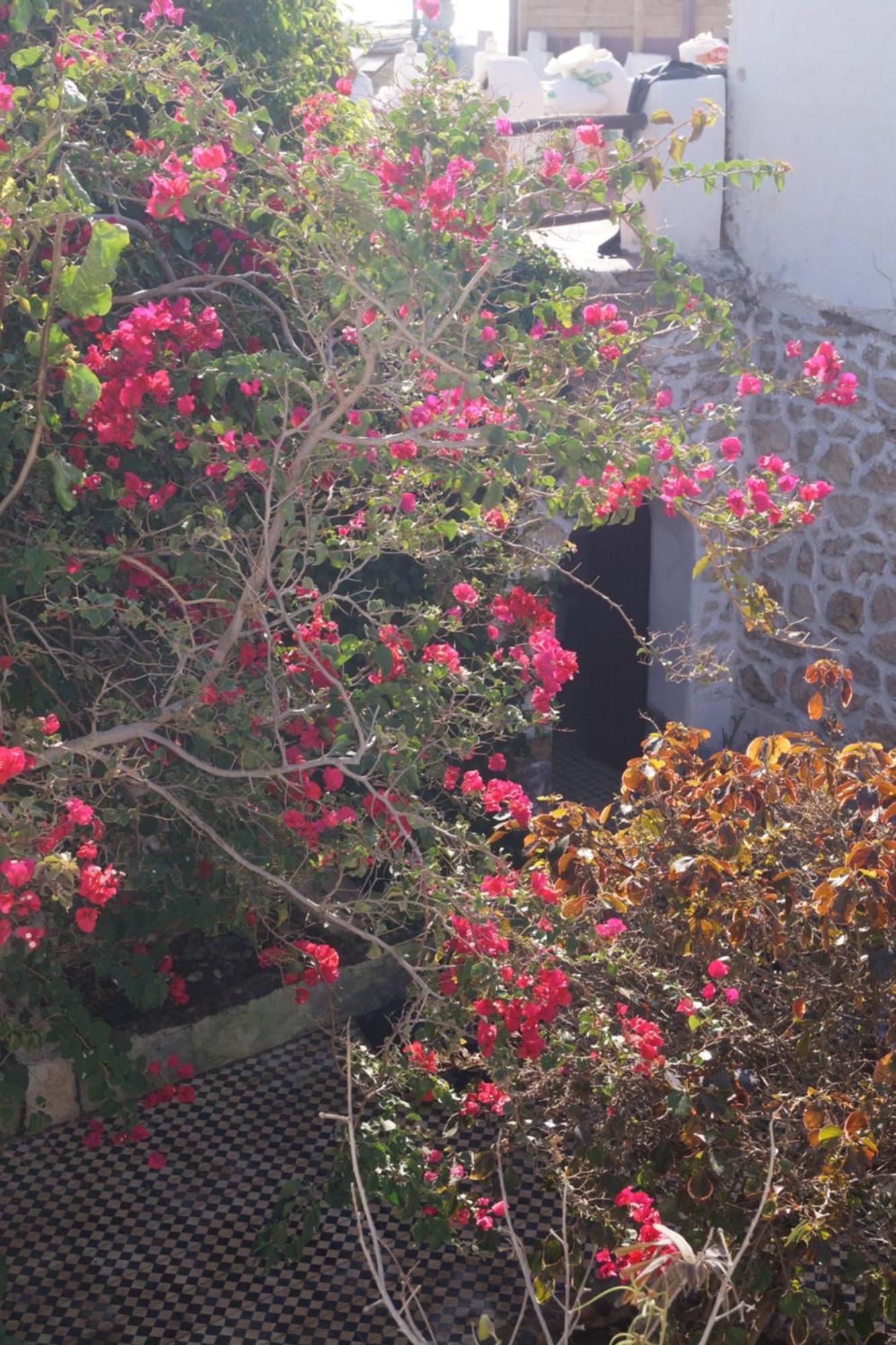 Sidi Kaouki Perla Hotel Luaran gambar