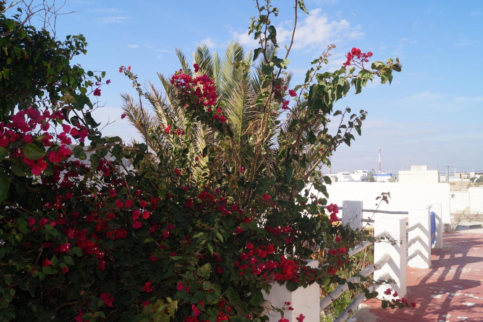 Sidi Kaouki Perla Hotel Luaran gambar