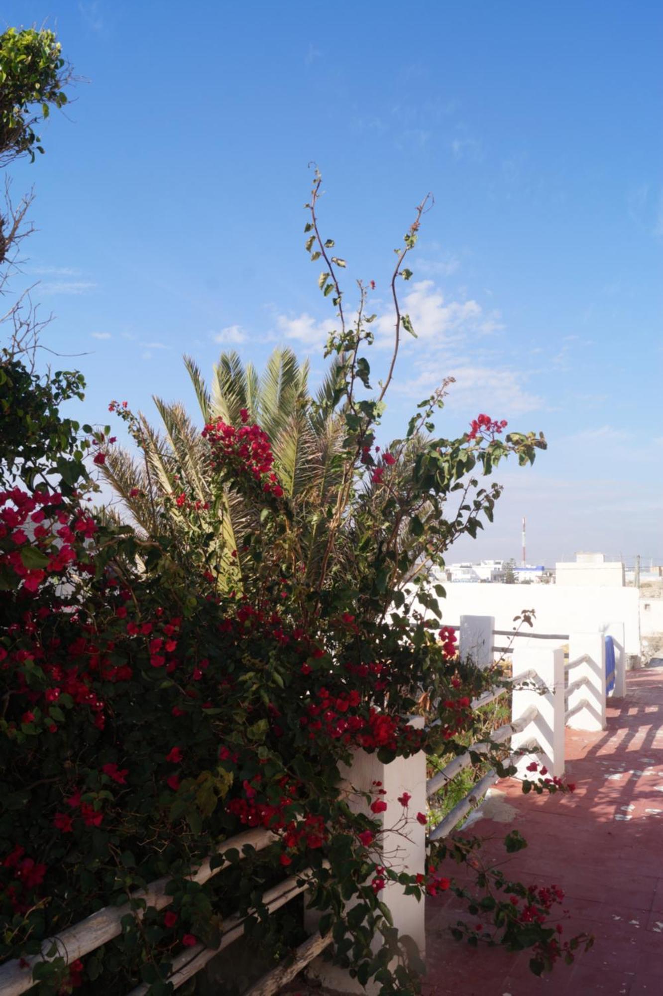 Sidi Kaouki Perla Hotel Luaran gambar